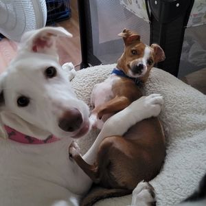 Meet your Posher, Jaime